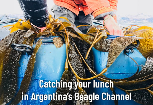 2.Beagle Channel Argentina