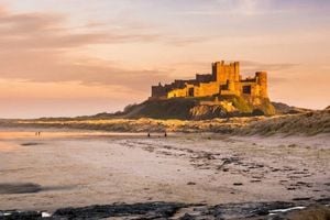 Bamburgh castle half head RG