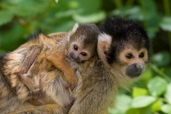 Costa Rica national park large IG