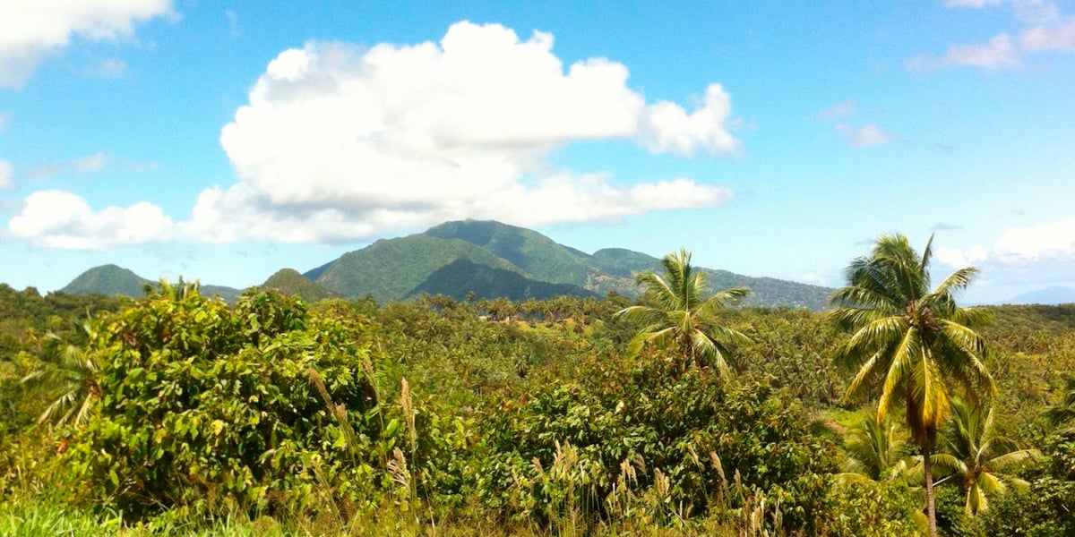 Dominca mountains