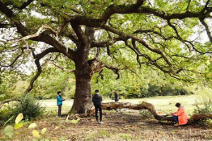 Epping Forest UK