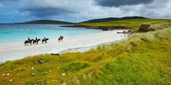 Ireland horses beach
