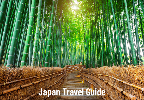 Japan Travel Guide