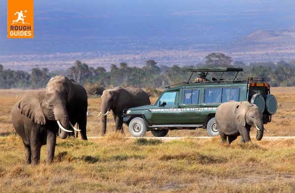 Maasai Mara, Kenya