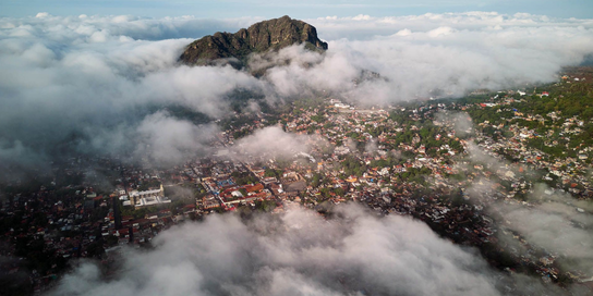 Newsletter image (75)