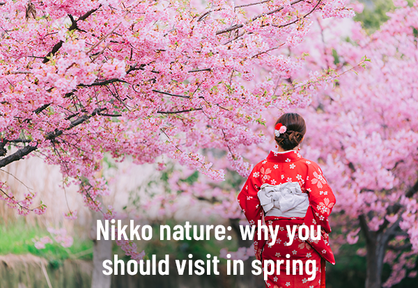 Nikko nature: why you should visit in spring