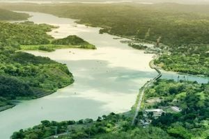 Panama canal half head