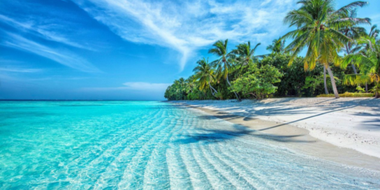 The Maldives beach