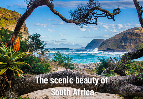 The scenic beauty of South Africa