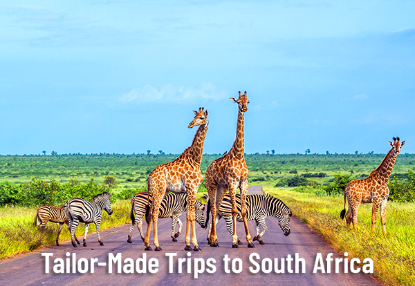 Tailor-Made Trips to South Africa