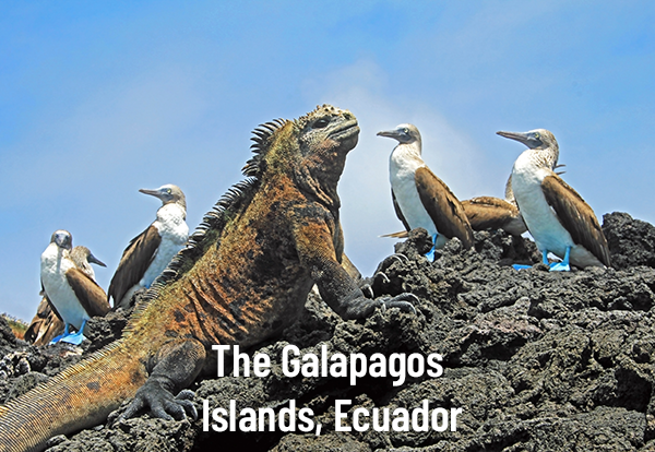 The Galapagos Islands, Ecuador