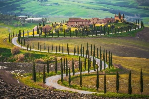 Tuscany large