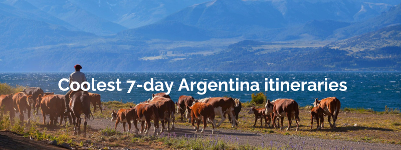 argentina 7 days