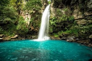 costa rica national park xmas countdown