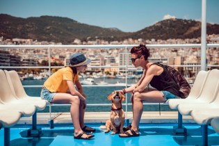 ferry dog