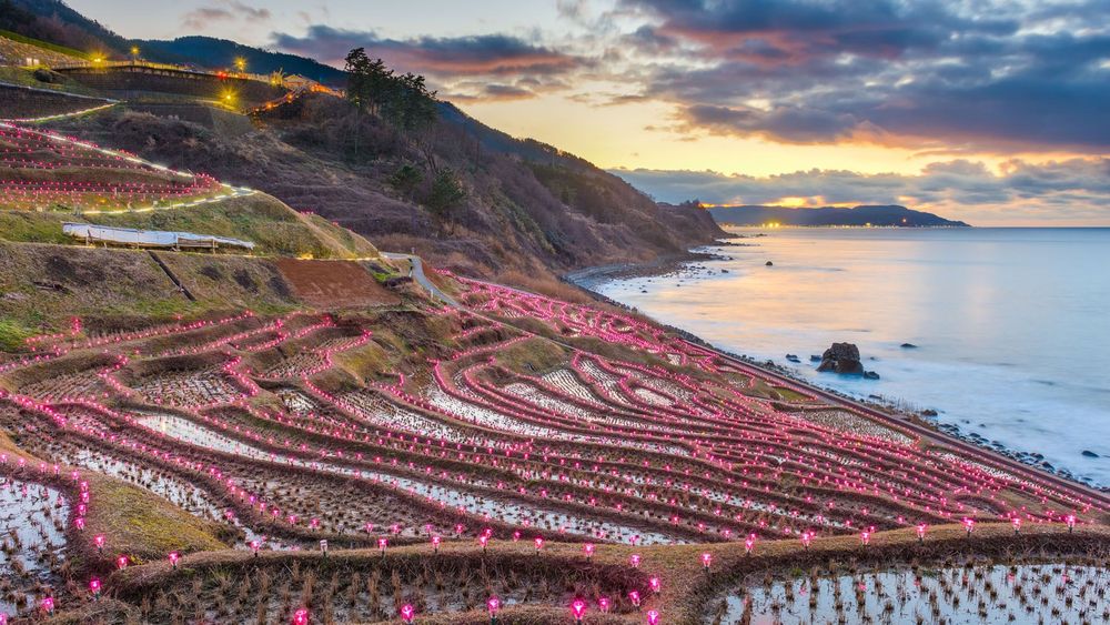 large_Shiroyone-Senmaida-Rice-Terraces-noto-peninsula-shutterstock_1826016578_97fe77db22