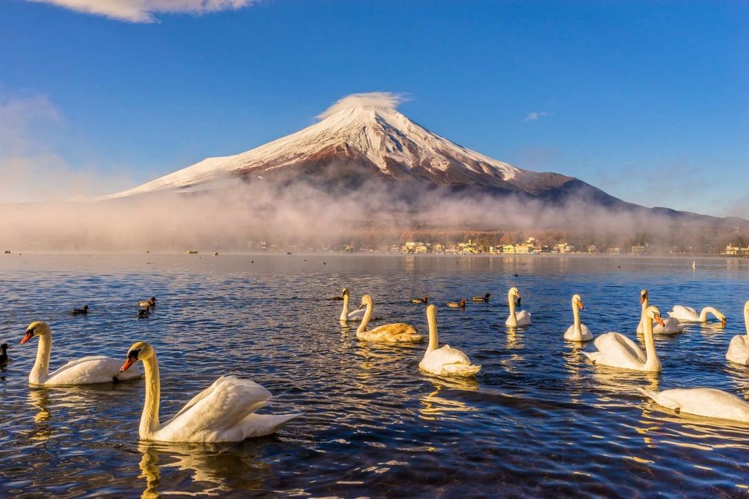 mount-fuji-lake-yamanaka-japan-shutterstock_244958749