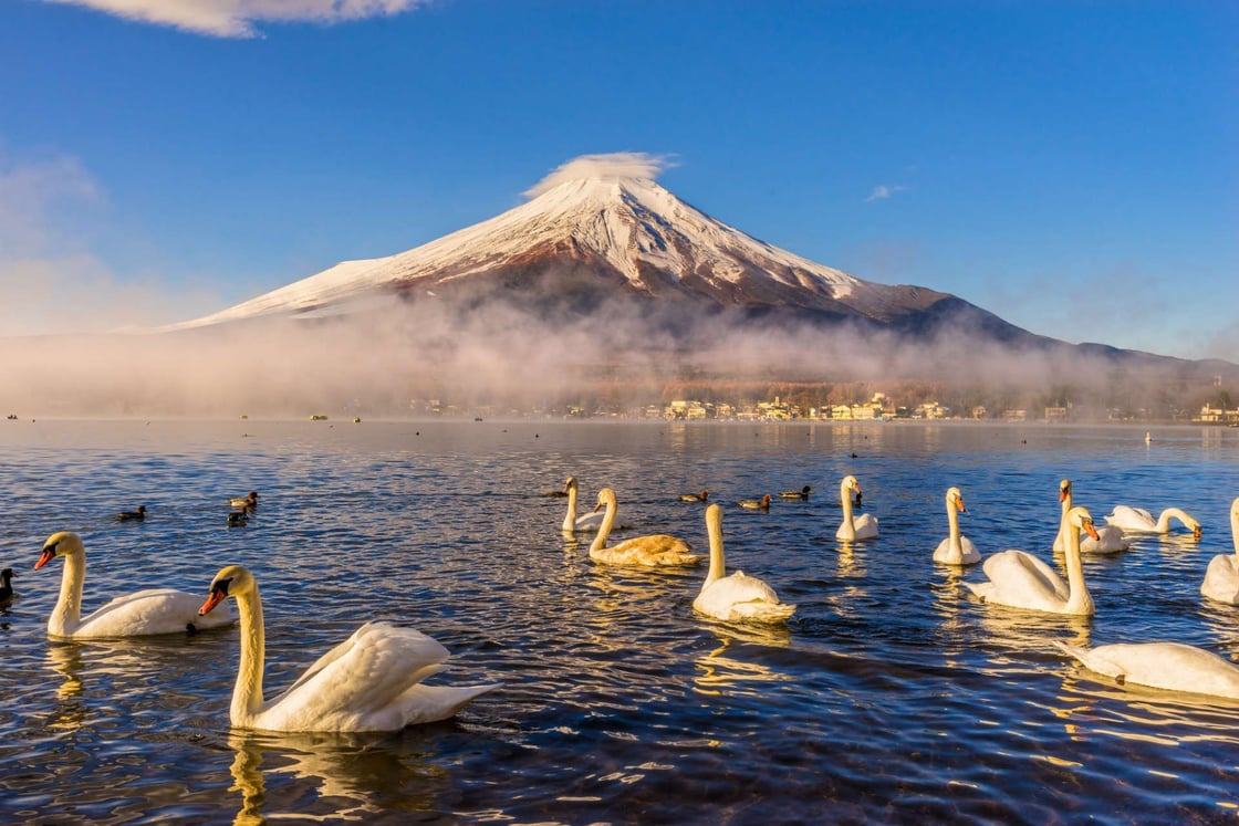 mount-fuji-lake-yamanaka-japan-shutterstock_244958749