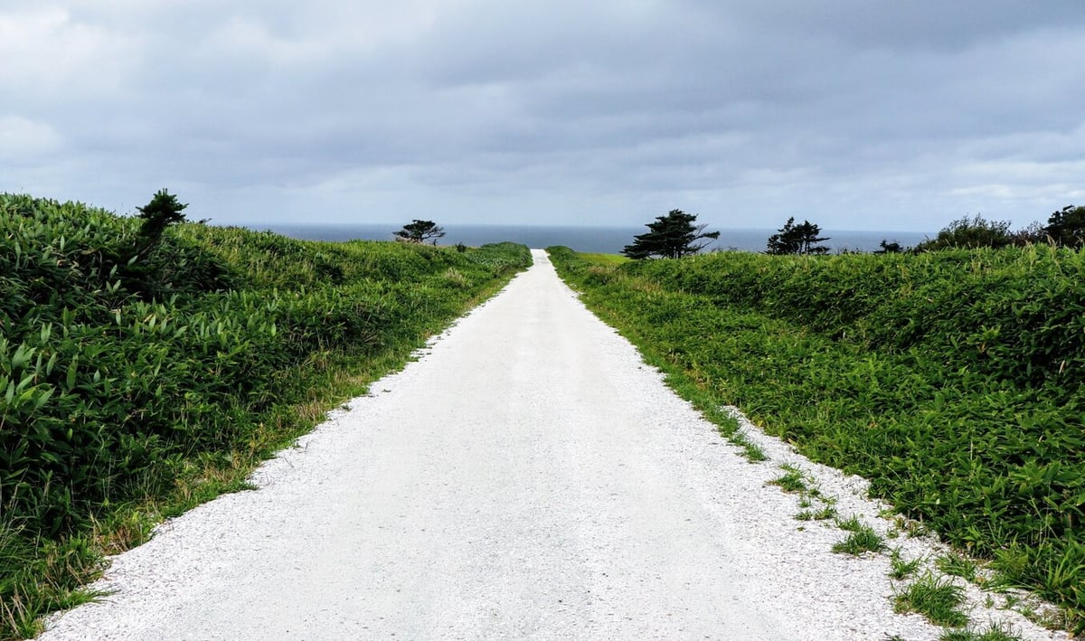 rsz_1white-path-header-1