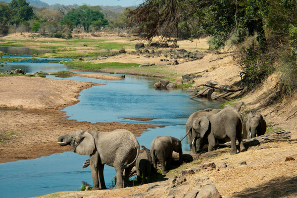 safari tanzania