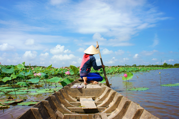 vietnam large