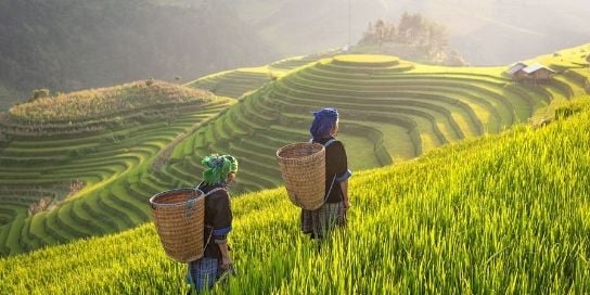 women vietnam